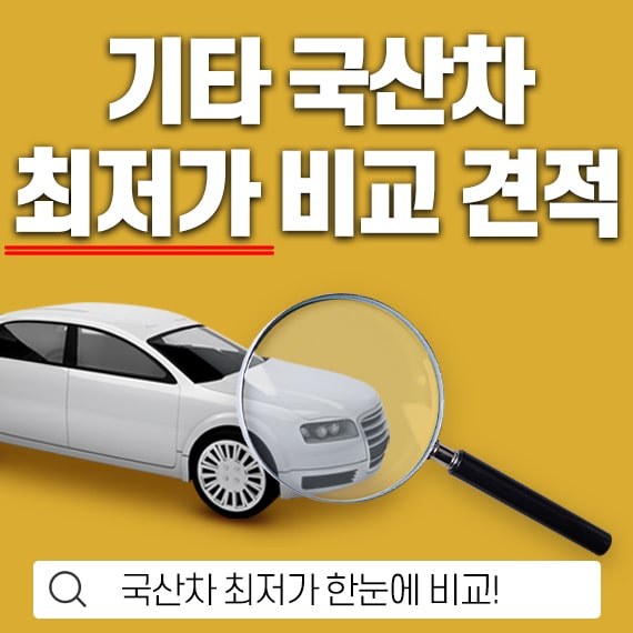 기타 국산차